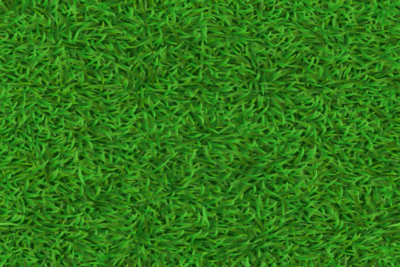Realistic Seamless Green Lawn for Modern Design Projects